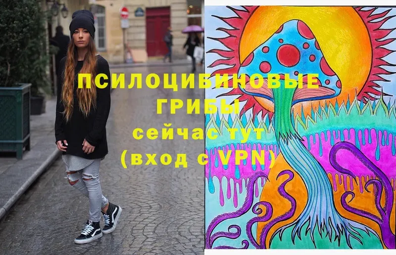 Псилоцибиновые грибы Magic Shrooms  Великие Луки 